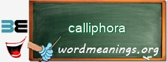 WordMeaning blackboard for calliphora